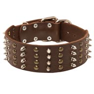 Extra Wide Leather Spiked and Studded Amstaff Collar