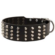 Extra Wide 4 Rows Studded Leather Amstaff Collar