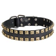2 Rows Brass Studded Leather Amstaff Collar for Walking and Training