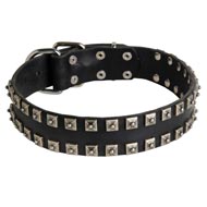 New Leather Amstaff Collar - Fashion Exclusive Design - "Caterpillar"