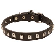 Amstaff Leather Collar Caterpillar Design
