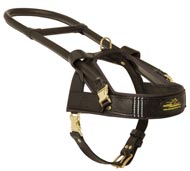 Guide and Assistance Leather Amstaff Harness