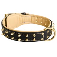 Royal Leather Amstaff Collar Spiked Padded with Nappa Leather