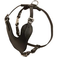 Adjustable Leather Amstaff Harness for Attack / Agitation Training