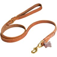 Walking and Training Leather Amstaff Leash with Comfy Handle