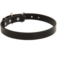 Amstaff Leather Dog Collar 1 inch Wide
