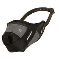 Protection Training Amstaff Muzzle Made of Nylon and Leather