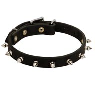 Amstaff Leather Collar Spiked 3/4 Inch