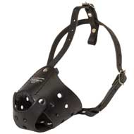 Everyday Leather Amstaff Muzzle for Training