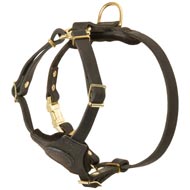 Spruce Leather Amstaff Harness With Small Chest Plate