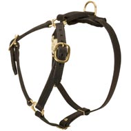 Y-Shaped Leather Amstaff Harness for Tracking and Training