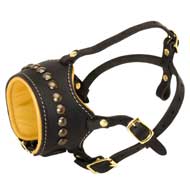 Open Nose Studded Leather Amstaff Muzzle With Nappa Padding