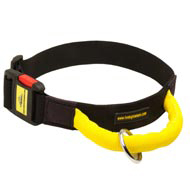 Gorgeous Wide Nylon Amstaff Collar With Quick Release Buckle and Handle