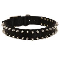 Amstaff Nylon Collar Spiked