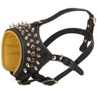 Royal Spiked and Studded Leather Amstaff Muzzle