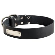Classic Leather Amstaff Collar with Identification Tag