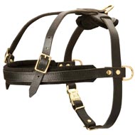 Leather Amstaff Harness for Tracking and Pulling