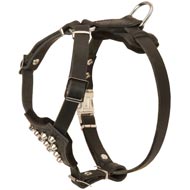 Studded Leather Amstaff Puppy Harness