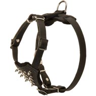 Durable Spiked Leather Puppy Amstaff Harness
