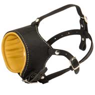 Snout Short Leather Amstaff Muzzle Padded with Nappa Leather