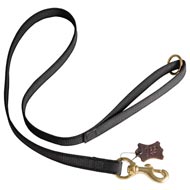 All Weather Nylon Amstaff Leash for Walking and Training Activities