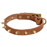 Walking Designer Leather Amstaff Collar with Brass Spikes