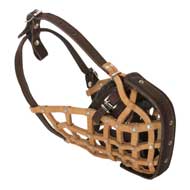 Basket-Like Amstaff Muzzle Leather
