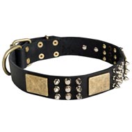 Spiked Leather Amstaff Collar with Plates and Cones