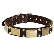 Leather Amstaff Collar with Studs and Plates