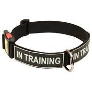 All Weather Nylon Amstaff Collar with ID Patches