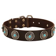 Leather Amstaff Collar with Blue Stones for Stylish Walking