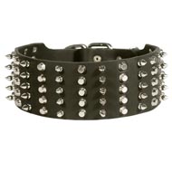 Amstaff Leather Collar Spiked and Studded