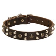 Leather Amstaff Collar With Studs and Pyramids