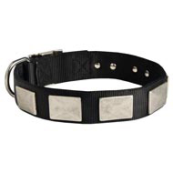Nylon Amstaff Collar Massive Nickel Plates