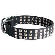 Leather Amstaff Collar with 3 Rows of Nickel Pyramids