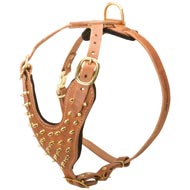 Brass Spiked Leather Amstaff Harness for Fashion Walking