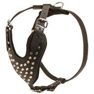 Adjustable Leather Amstaff Harness Studded for Fashion Walking