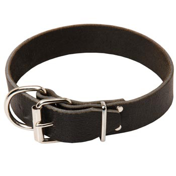 Amstaff Leather Collar