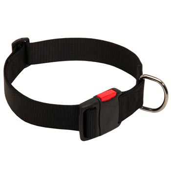 Nylon Amstaff Collar for Training and Waling