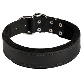 Adjustable Amstaff Collar