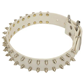 Spiked White Leather Collar for Amstaff Walking