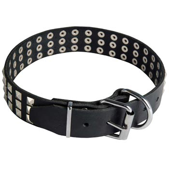 Leather Collar with Pyramids for Amstaff