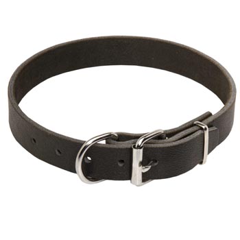 Dog Leather Collar for Amstaff Training and Walking