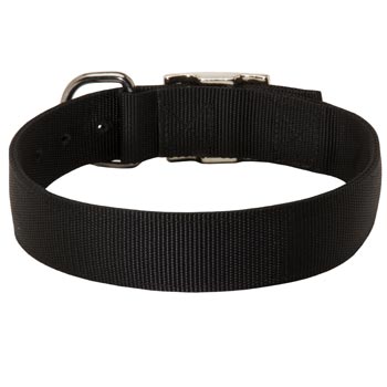 Nylon Collar for Amstaff Comfy Training