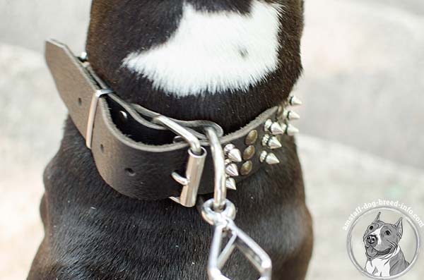 Amstaff brown leather collar with strong quick release buckle for perfect control