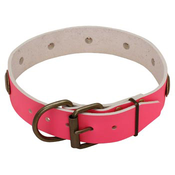 Fashion Pink Leather Amstaff Collar