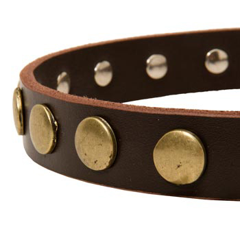 Designer Leather Dog Collar for Walking Amstaff