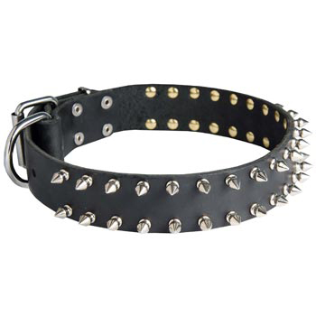 Spiked Leather Collar for Amstaff