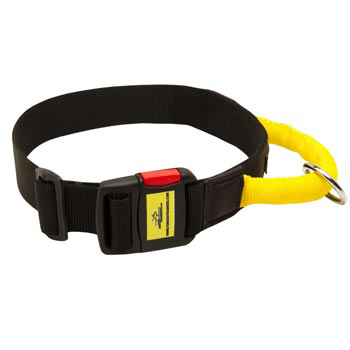 Nylon Amstaff Collar with Quick Release Buckle