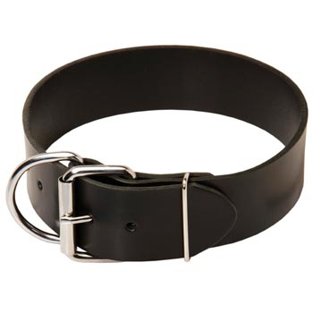 Amstaff Leather Collar of Extra Width